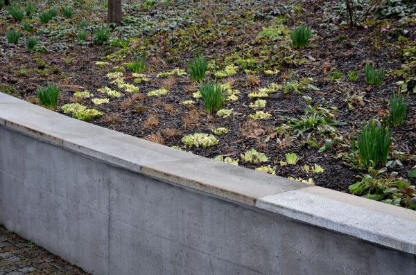 Concrete Wall Construction in Olathe