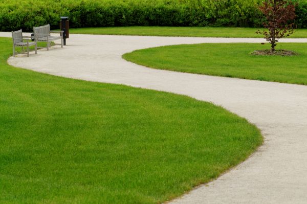 Sidewalk Concrete Service in Olathe