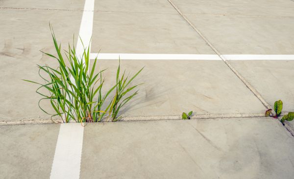 Concrete Parking Installation in Olathe